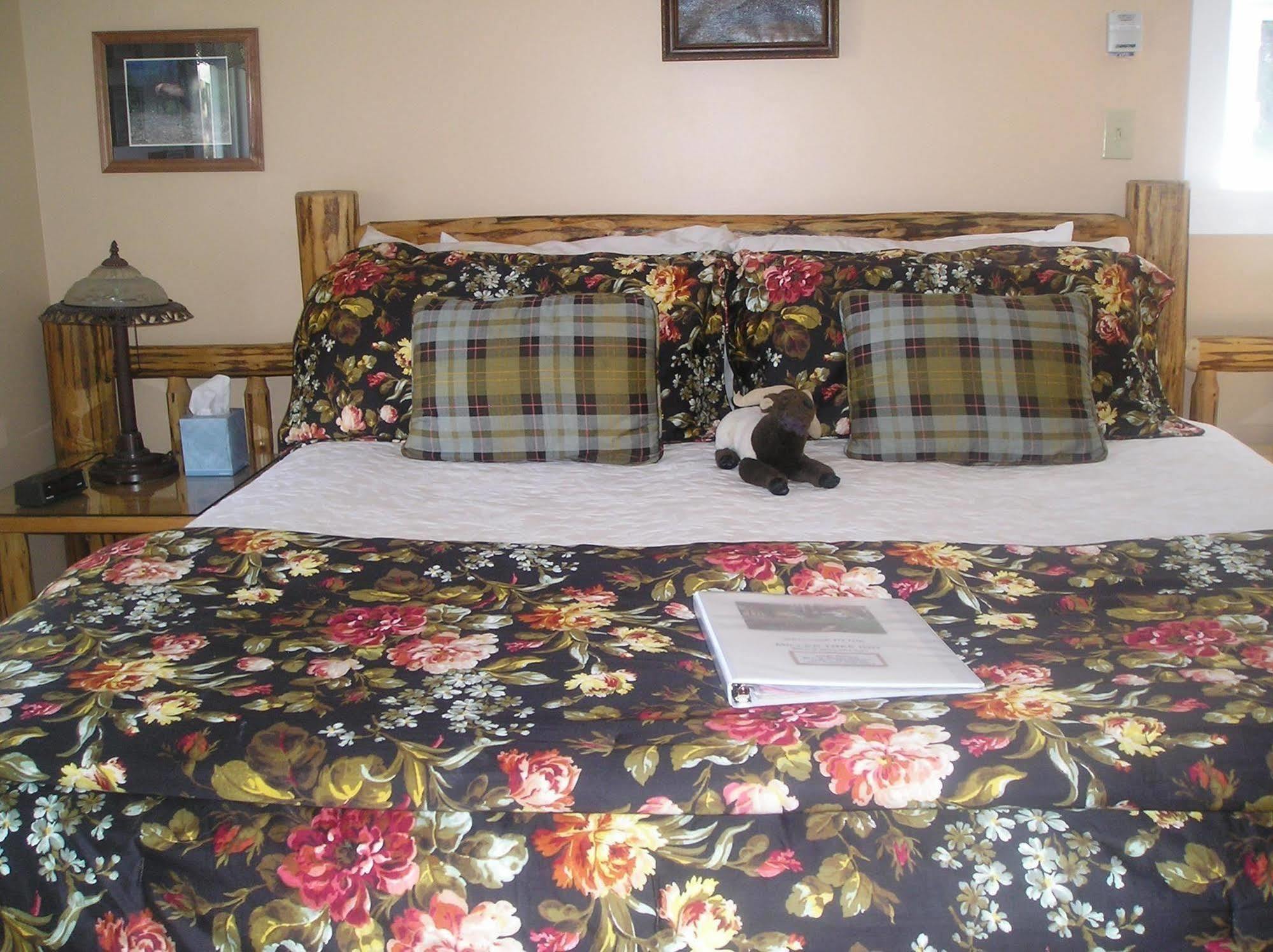 Miller Tree Inn Forks Εξωτερικό φωτογραφία